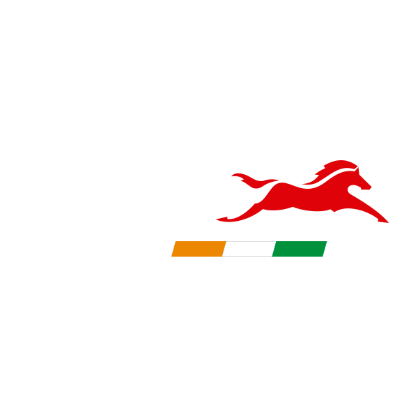 Logo TVS