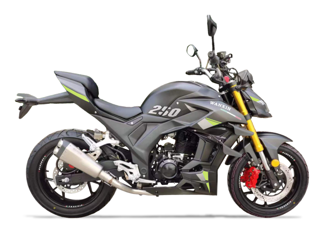 Moto Wanxin Roadblock 250 2024